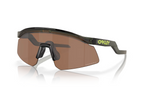 Oakley Hydra
