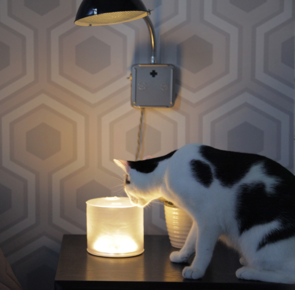 Luci Lux