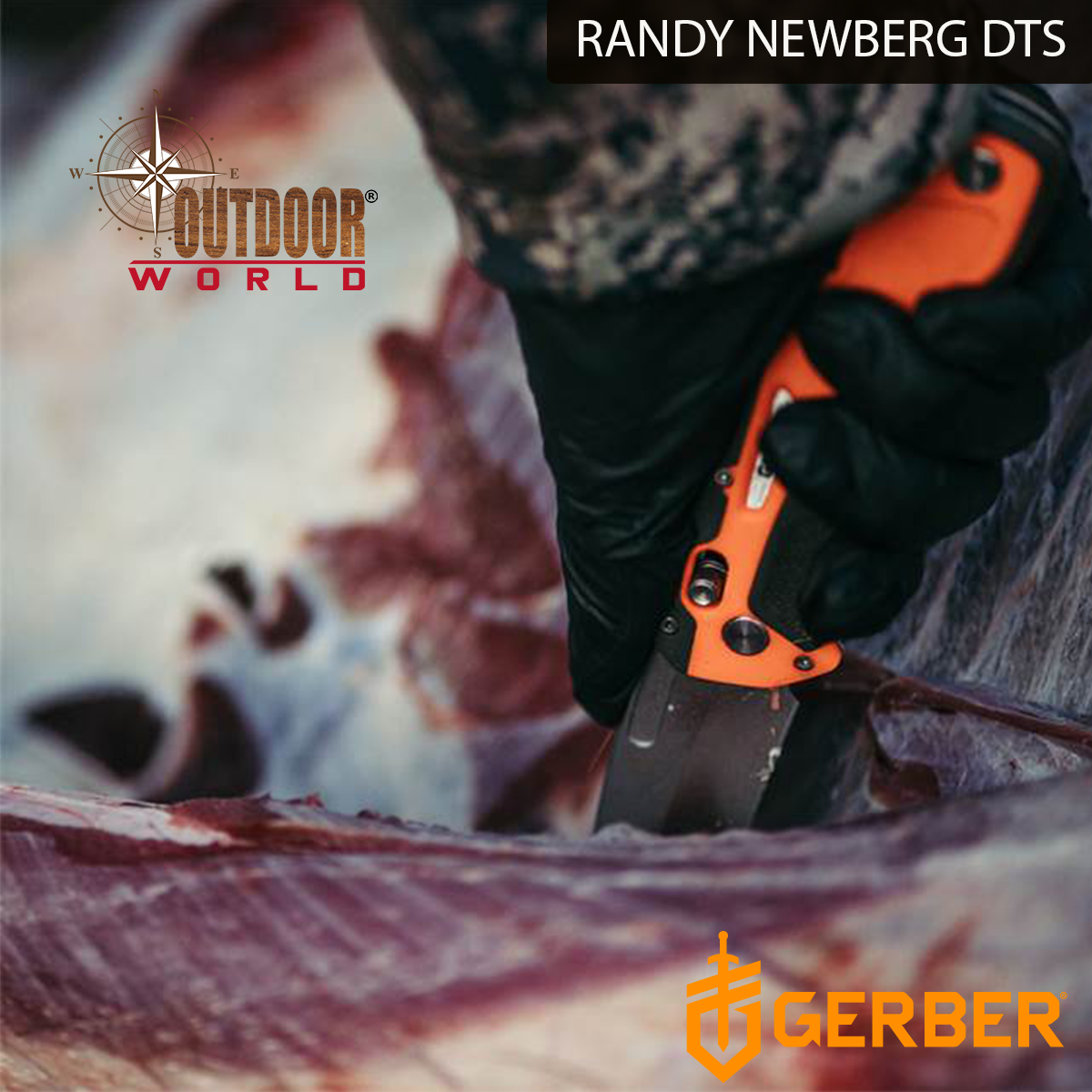RANDY NEWBERG DTS 30-001761